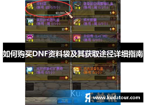 如何购买DNF资料袋及其获取途径详细指南