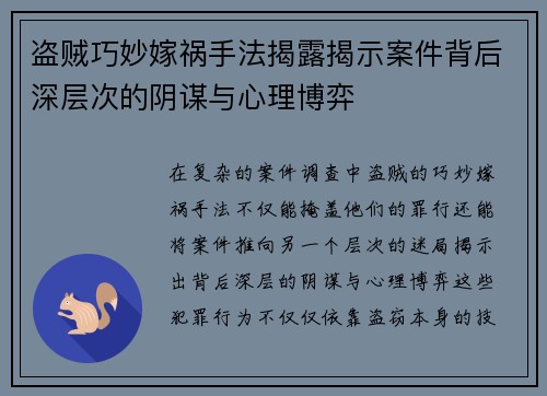 盗贼巧妙嫁祸手法揭露揭示案件背后深层次的阴谋与心理博弈
